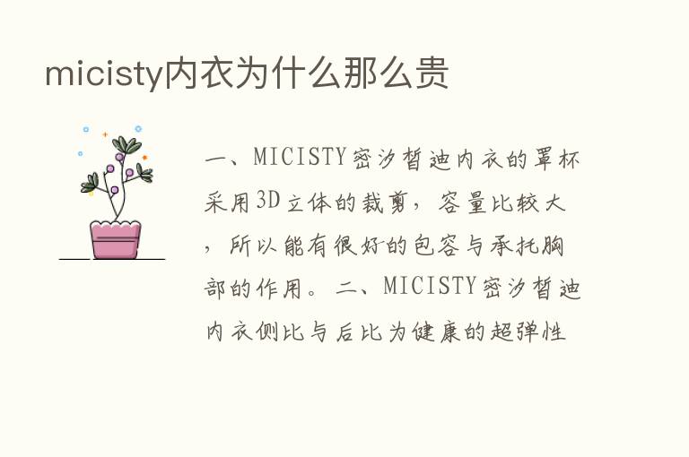 micisty内衣为什么那么贵