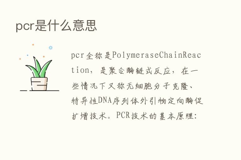 pcr是什么意思