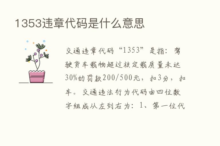 1353违章代码是什么意思