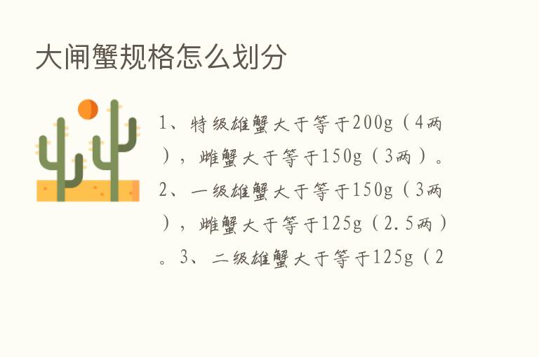 大闸蟹规格怎么划分