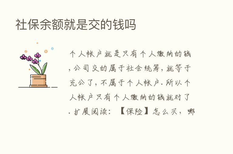 社保余额就是交的前吗