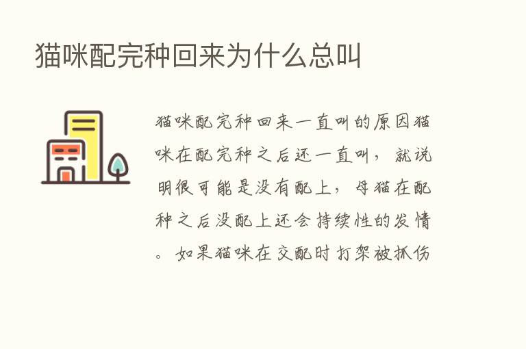 猫咪配完种回来为什么总叫