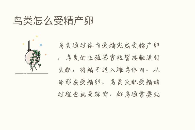 鸟类怎么受精产卵