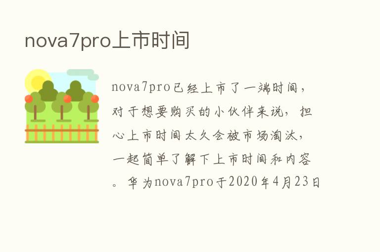 nova7pro上市时间