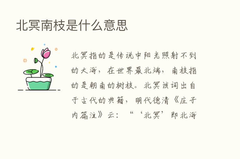 北冥南枝是什么意思