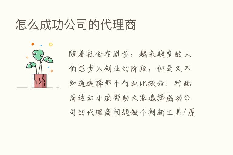 怎么成功公司的代理商