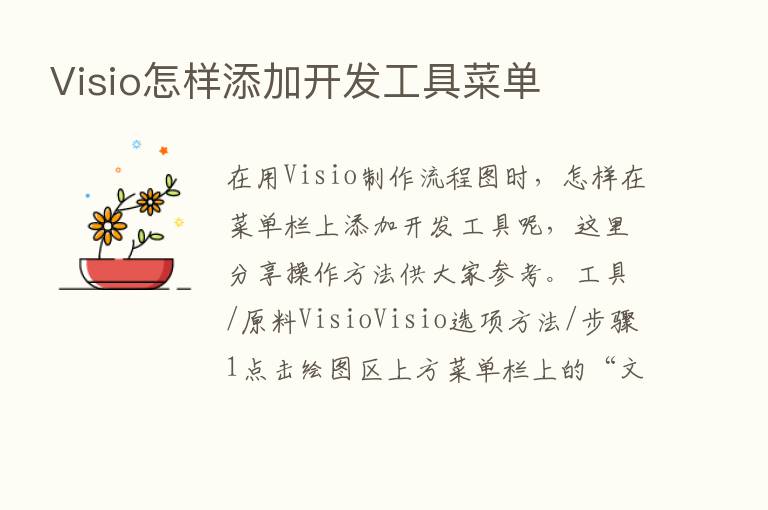 Visio怎样添加开发工具菜单