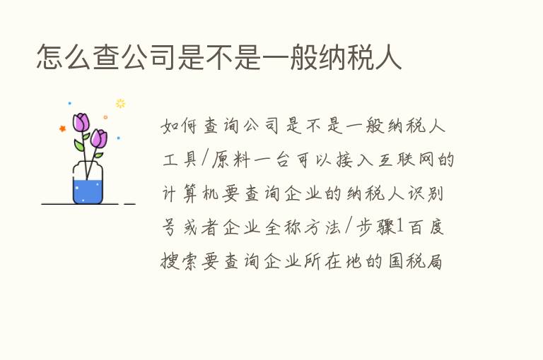 怎么查公司是不是一般纳税人