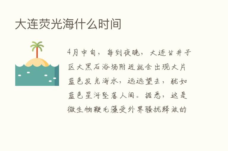 大连荧光海什么时间