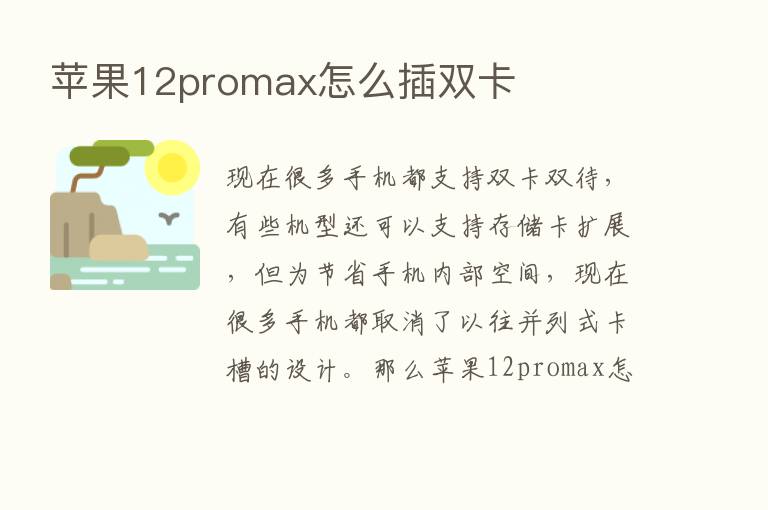 苹果12promax怎么插双卡