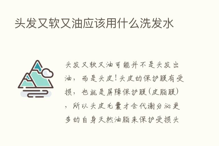 头发又软又油应该用什么洗发水