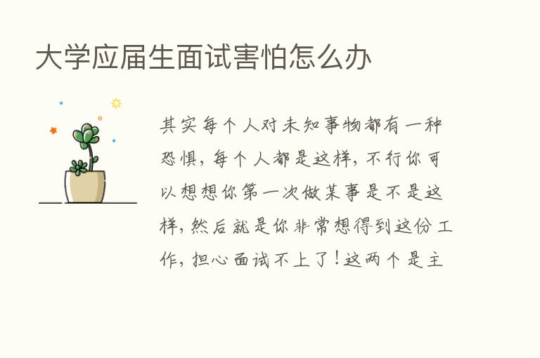 大学应届生面试害怕怎么办