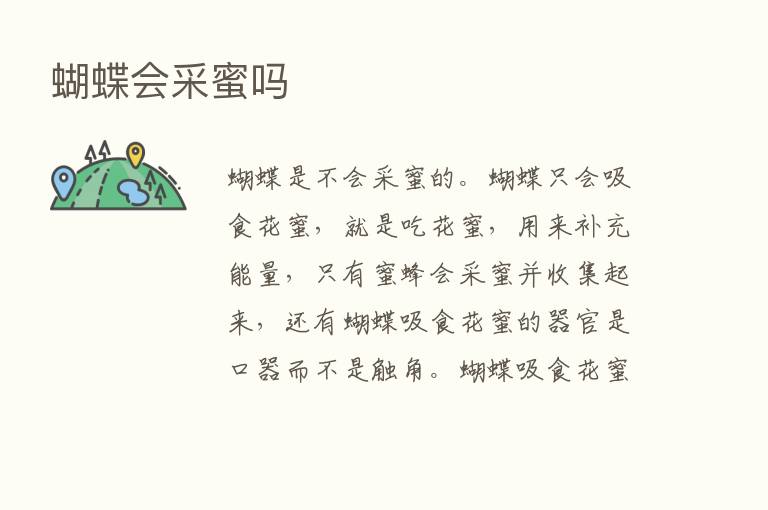 蝴蝶会采蜜吗