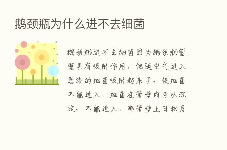 鹅颈瓶为什么进不去细菌