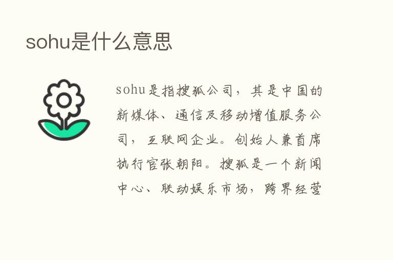 sohu是什么意思