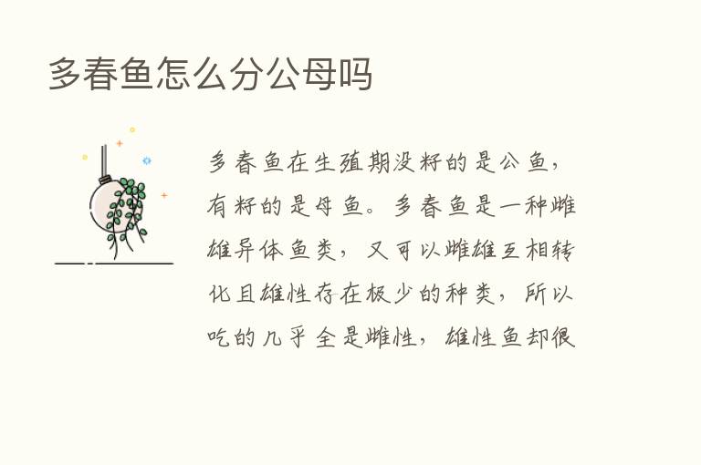 多春鱼怎么分公母吗