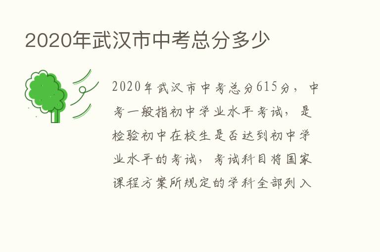 2020年武汉市中考总分多少