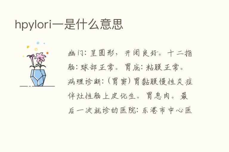 hpylori一是什么意思