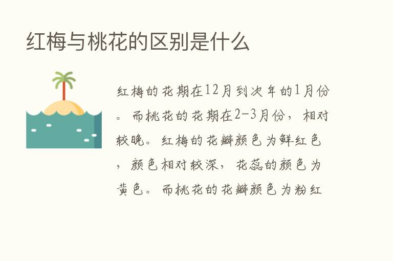 红梅与桃花的区别是什么