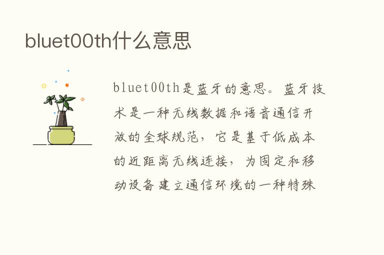 bluet00th什么意思