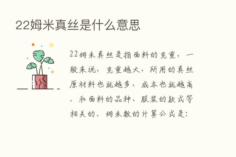 22姆米真丝是什么意思