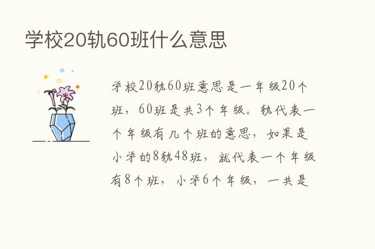 学校20轨60班什么意思