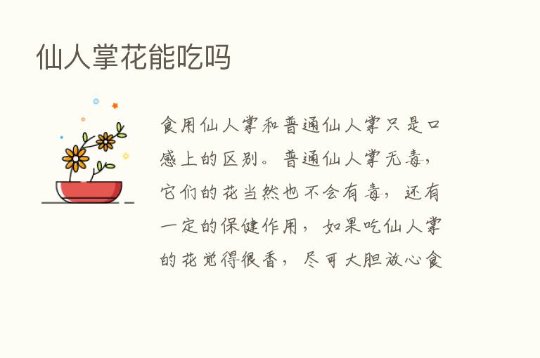 仙人掌花能吃吗