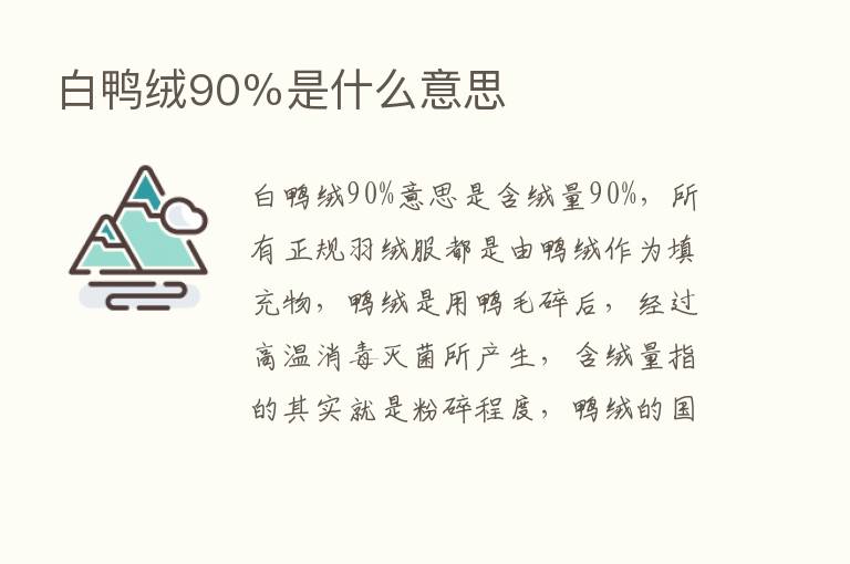 白鸭绒90％是什么意思