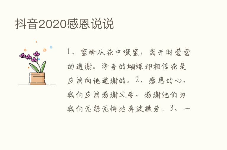 抖音2020感恩说说