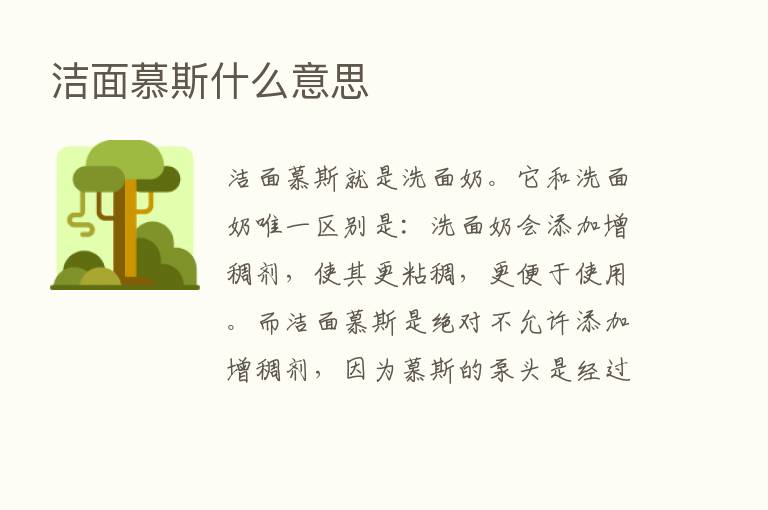 洁面慕斯什么意思