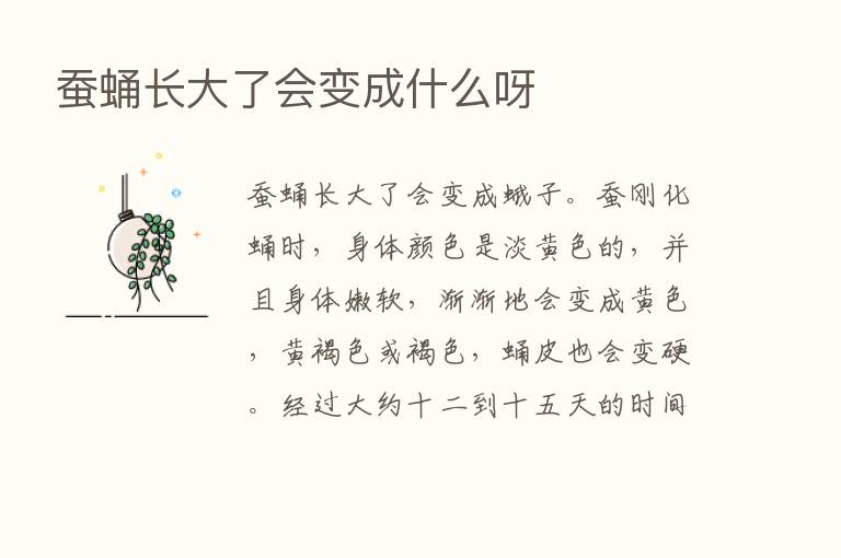 蚕蛹长大了会变成什么呀