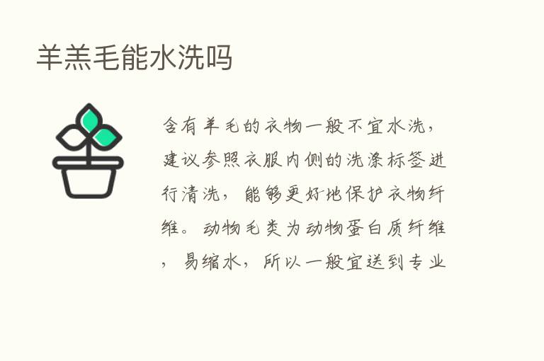 羊羔毛能水洗吗