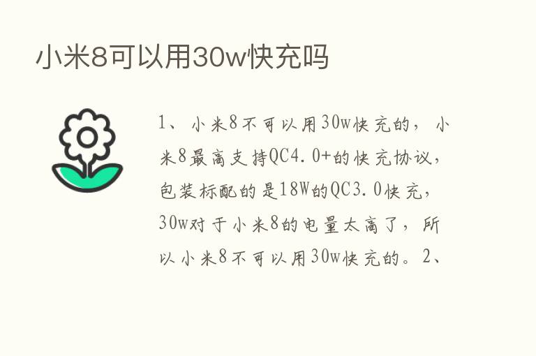 小米8可以用30w快充吗