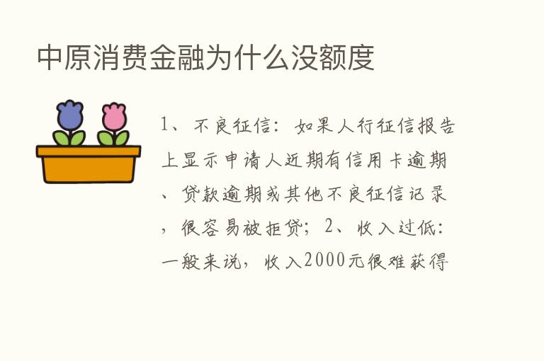 中原消费金融为什么没额度