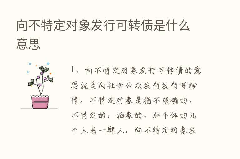 向不特定对象发行可转债是什么意思