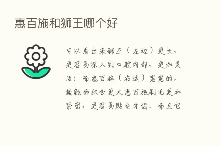 惠百施和狮王哪个好