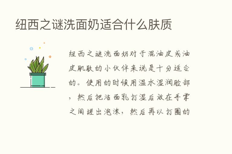 纽西之谜洗面奶适合什么肤质