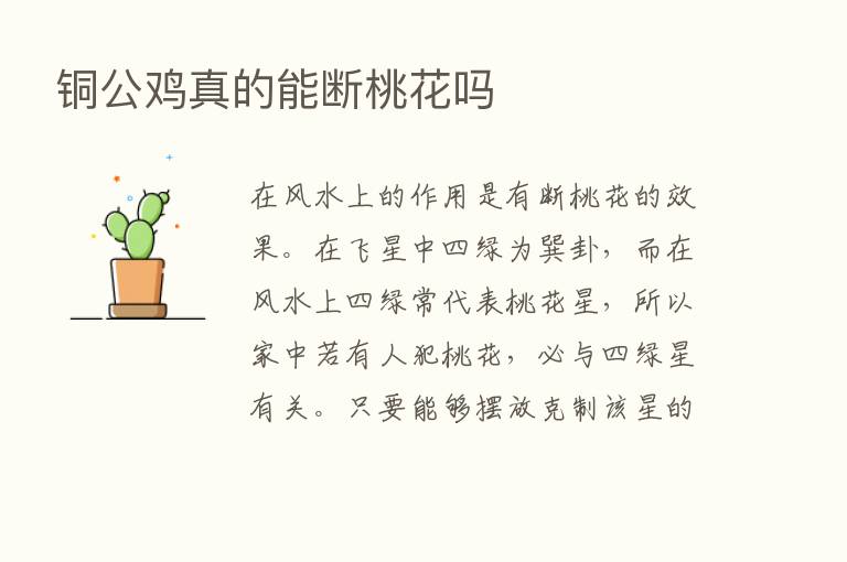 铜公鸡真的能断桃花吗