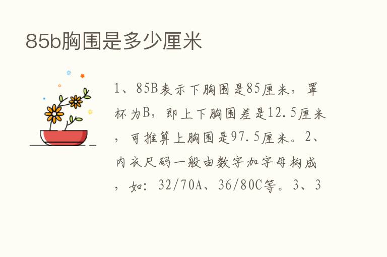 85b胸围是多少厘米