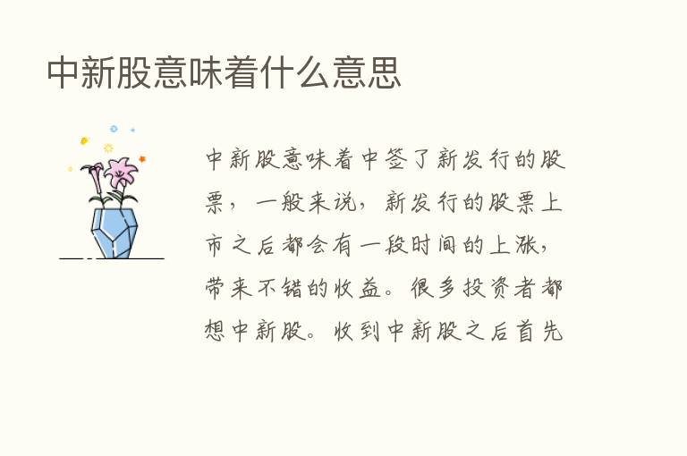 中新股意味着什么意思