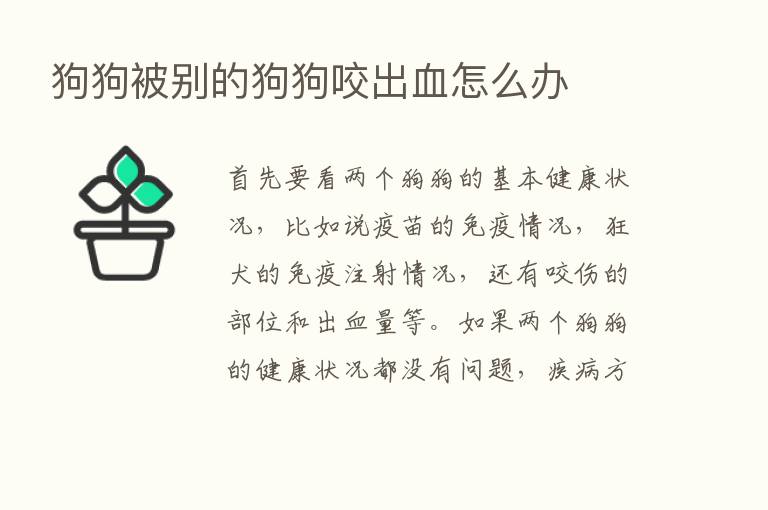 狗狗被别的狗狗咬出血怎么办