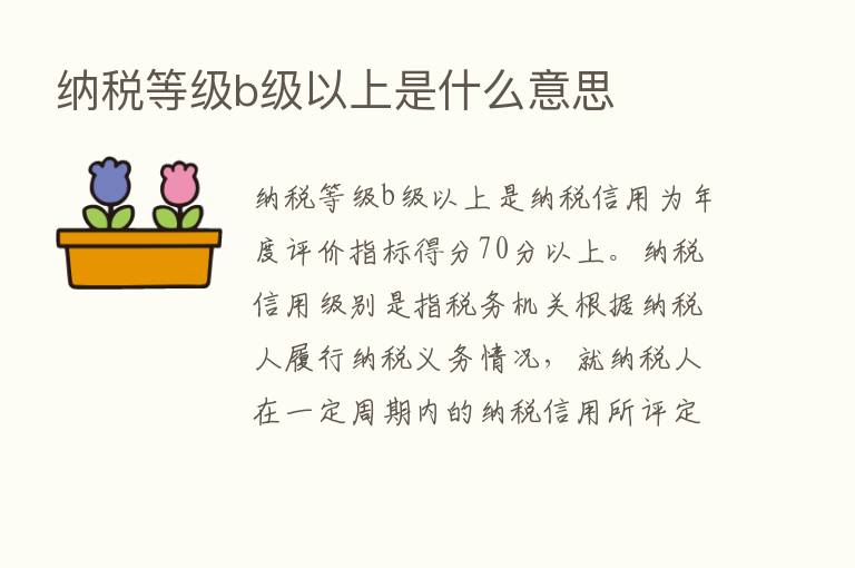 纳税等级b级以上是什么意思