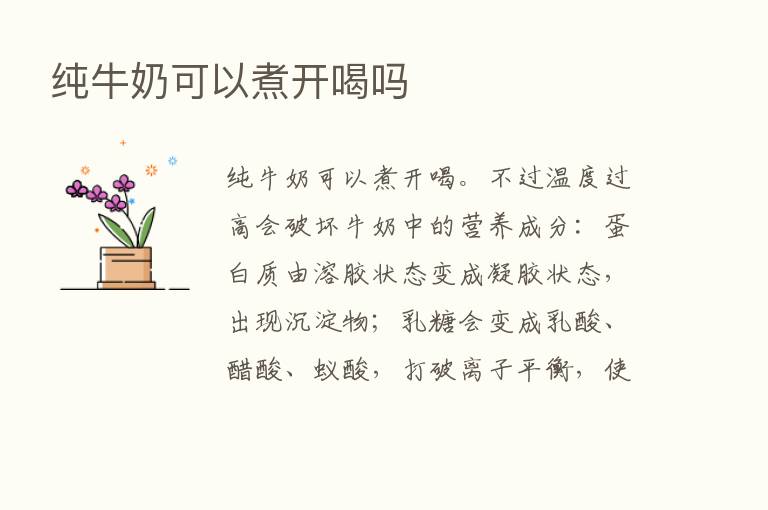 纯牛奶可以煮开喝吗