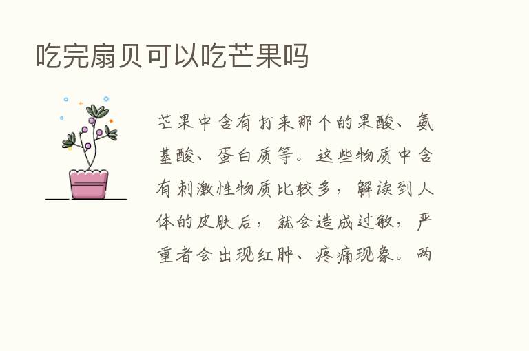 吃完扇贝可以吃芒果吗