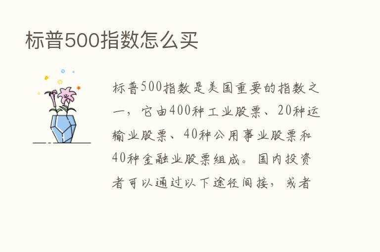 标普500指数怎么买