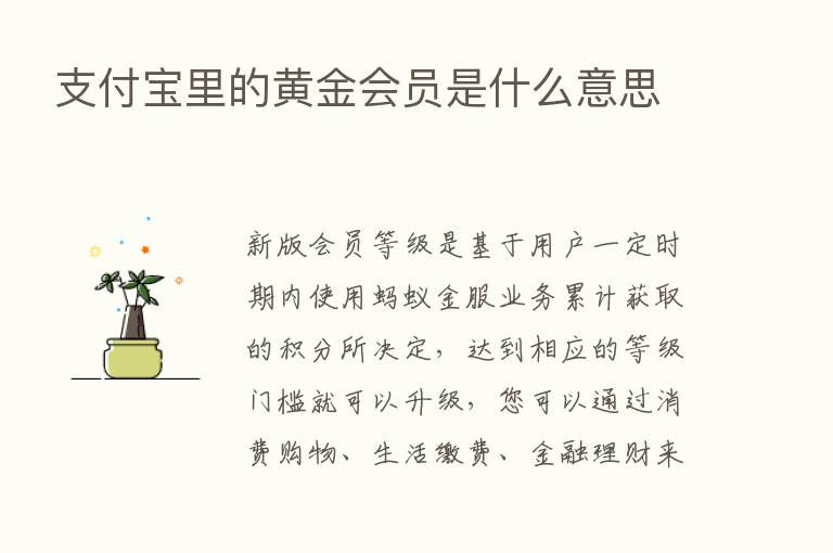 支付宝里的黄金会员是什么意思