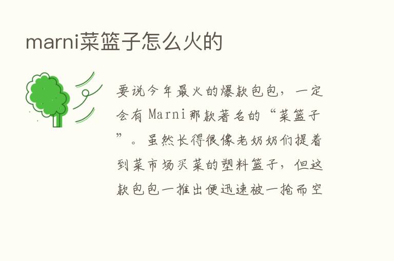 marni菜篮子怎么火的