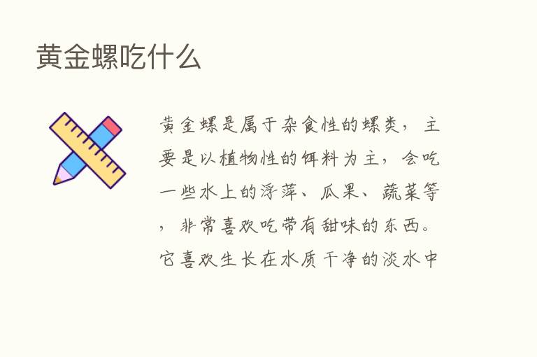 黄金螺吃什么