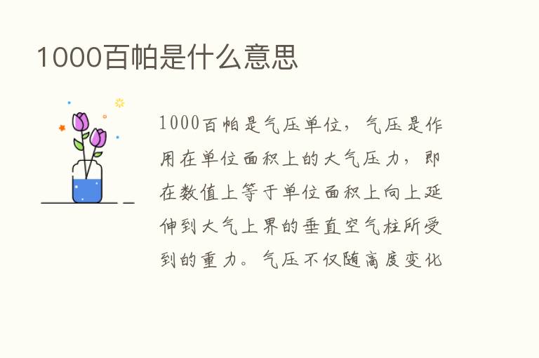 1000百帕是什么意思