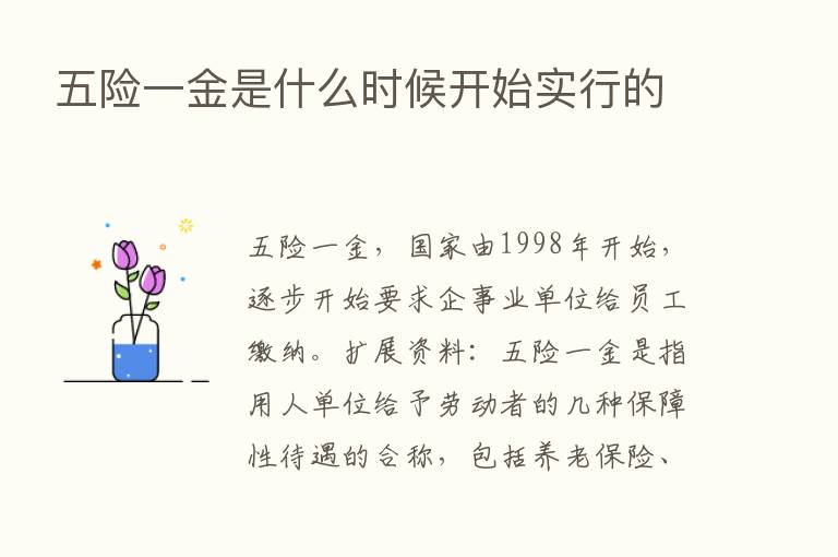 五险一金是什么时候开始实行的